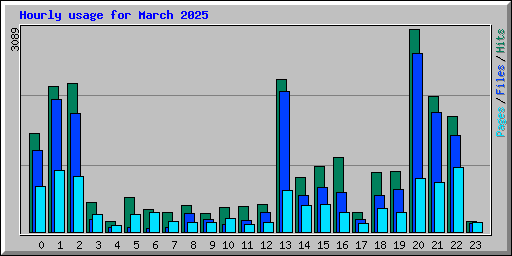 Hourly usage for March 2025