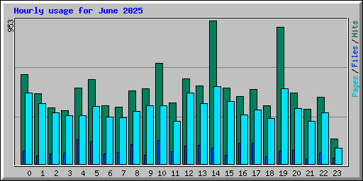 Hourly usage for June 2025