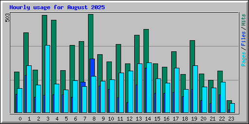 Hourly usage for August 2025