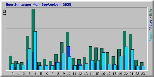 Hourly usage for September 2025