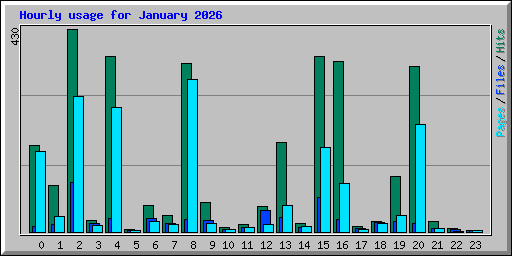 Hourly usage for January 2026